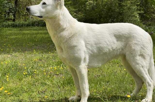 The Sunnyside Sisters Bed and Breakfast / Clarksville VA / Photo shoot!!!