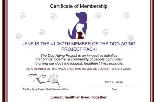 The Sunnyside Sisters Bed and Breakfast / Clarksville VA / Jane member of the Dog Aging Project