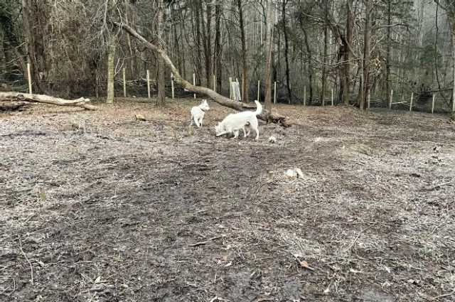 The Sunnyside Sisters Bed and Breakfast / Clarksville VA / Spring is around the corner