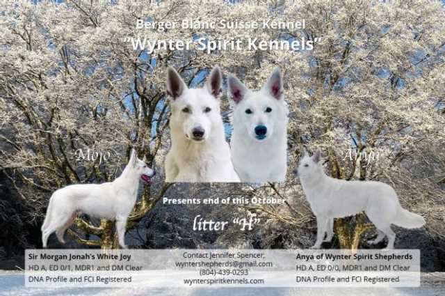 The Sunnyside Sisters Bed and Breakfast / Clarksville VA / Pregnancy confirmed!