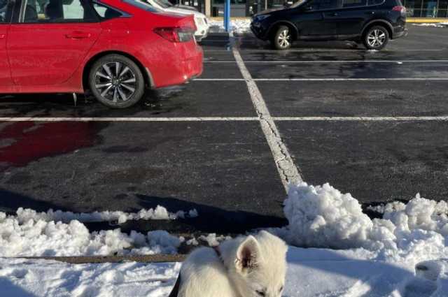 The Sunnyside Sisters Bed and Breakfast / Clarksville VA / January 23rd, 2022