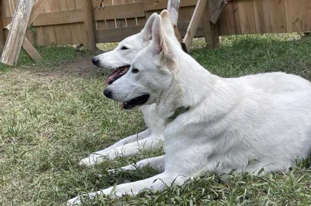 The Sunnyside Sisters Bed and Breakfast / Clarksville VA / Happy Birthday Mijne