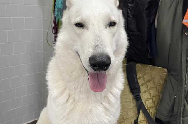 The Sunnyside Sisters Bed and Breakfast / Clarksville VA / Mojo: Hips and elbows tested