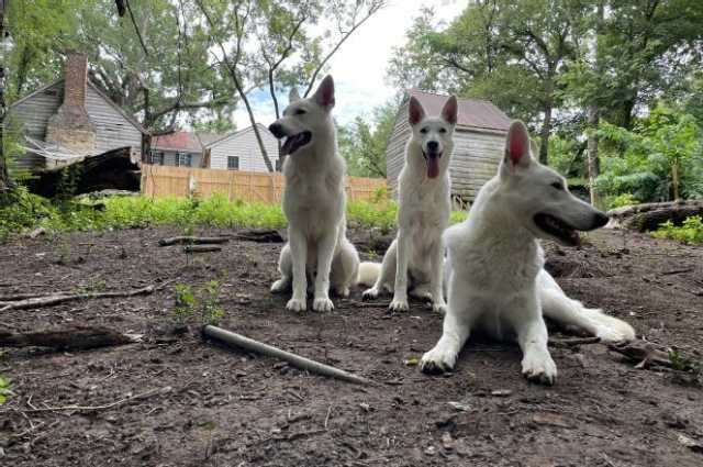 The Sunnyside Sisters Bed and Breakfast / Clarksville VA / Photo shoot