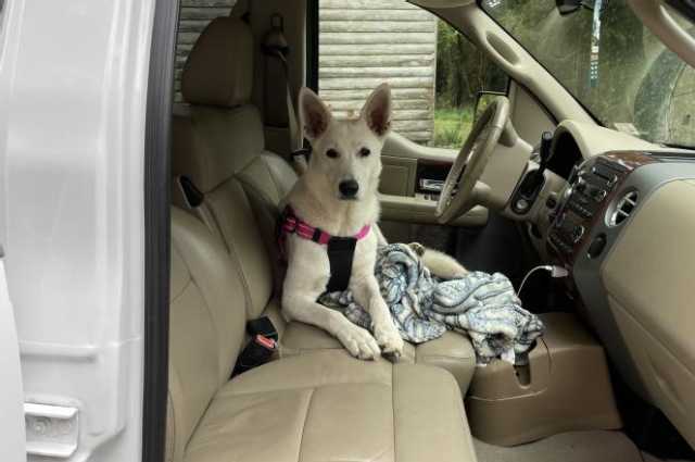 The Sunnyside Sisters Bed and Breakfast / Clarksville VA / Driving in my car