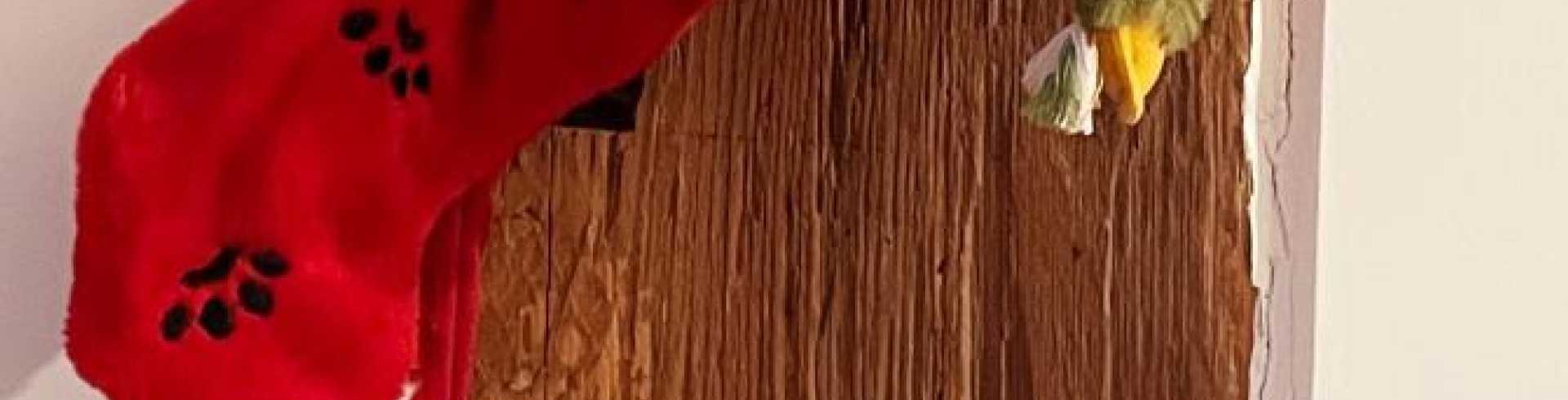 Sunnyside White Swiss Shepherds / Clarksville VA / Ho ho ho