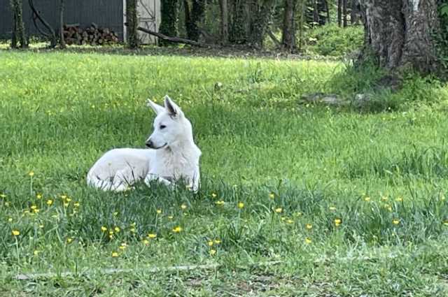 The Sunnyside Sisters Bed and Breakfast / Clarksville VA / First season for Jessie?