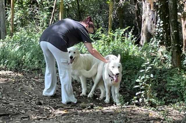 The Sunnyside Sisters Bed and Breakfast / Clarksville VA / Little Mojo’s this fall?