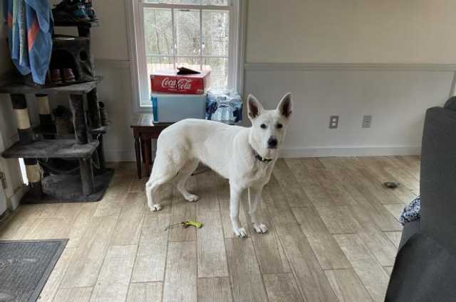 The Sunnyside Sisters Bed and Breakfast / Clarksville VA / 3-1