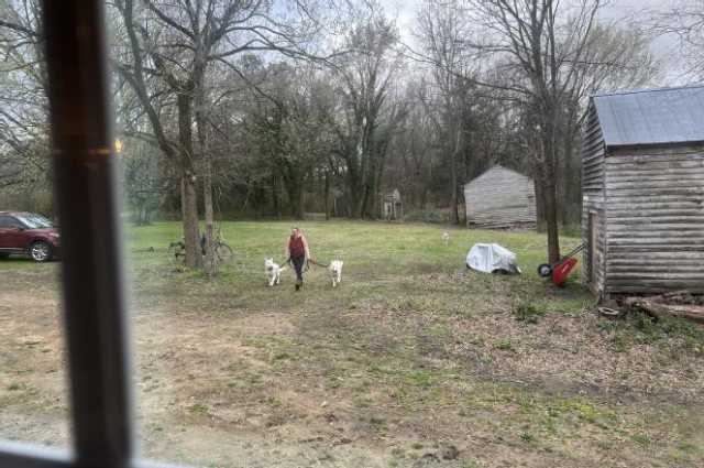 The Sunnyside Sisters Bed and Breakfast / Clarksville VA / Morning routine