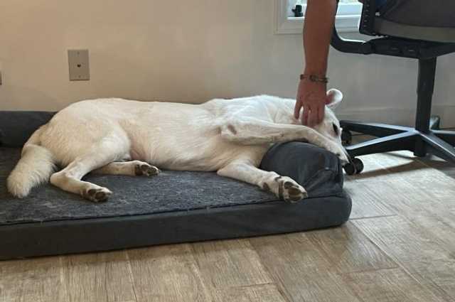 The Sunnyside Sisters Bed and Breakfast / Clarksville VA / Lazy rainy Saterday afternoon