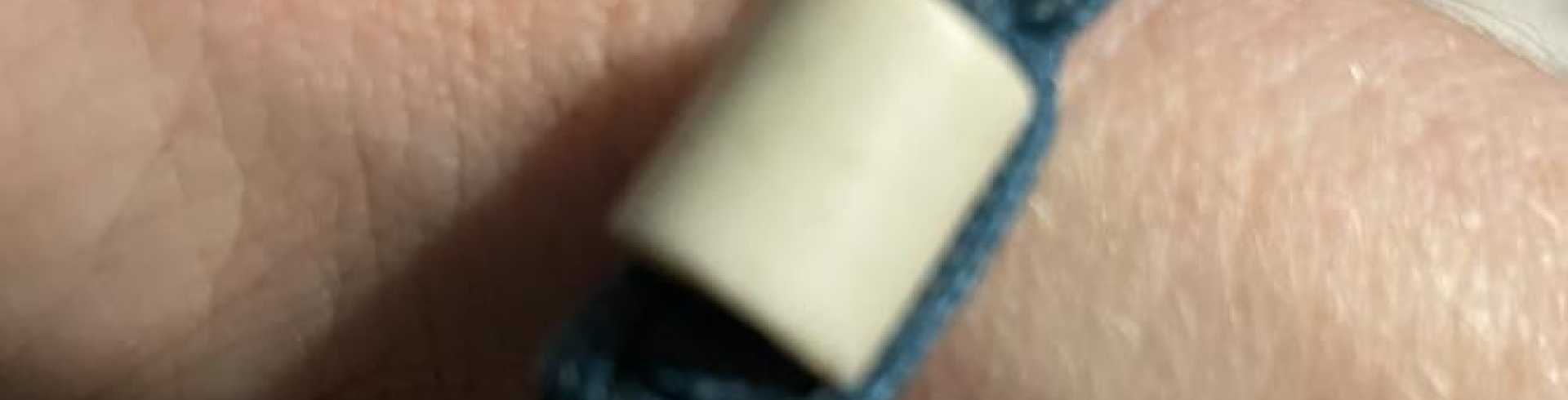 Sunnyside White Swiss Shepherds / Clarksville VA /