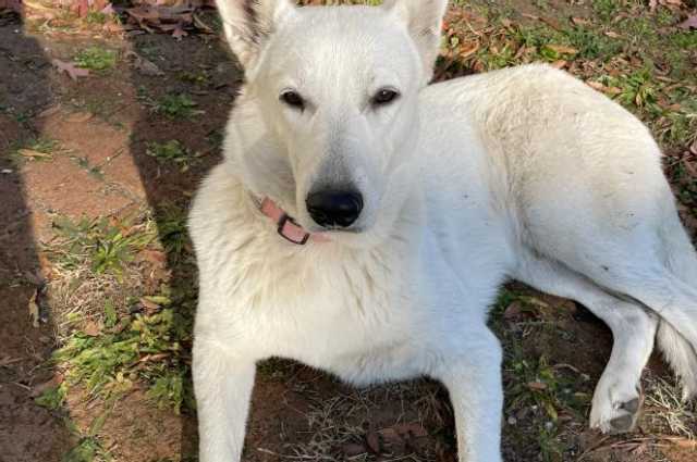 The Sunnyside Sisters Bed and Breakfast / Clarksville VA / Meeting with silent ‘partner:-))))