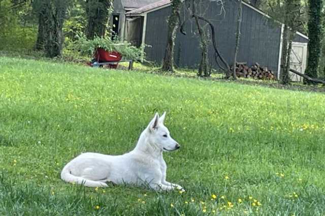 The Sunnyside Sisters Bed and Breakfast / Clarksville VA / OFA registration