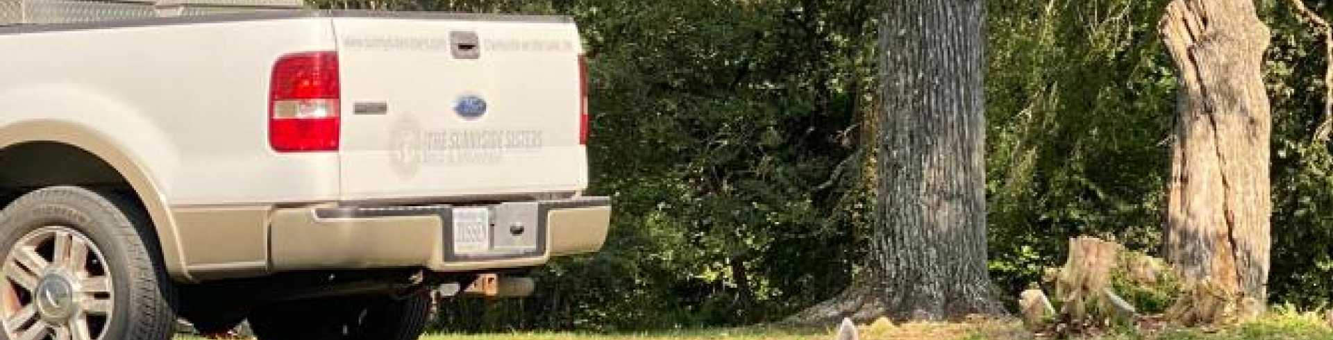 Sunnyside White Swiss Shepherds / Clarksville VA / The Puppy sitter