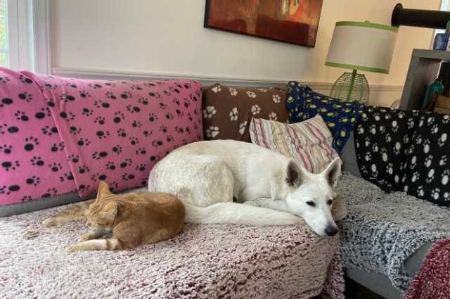 The Sunnyside Sisters Bed and Breakfast / Clarksville VA / Lazy and rainy day