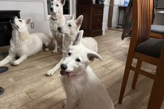 The Sunnyside Sisters Bed and Breakfast / Clarksville VA / Pack WSS