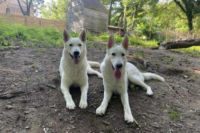 The Sunnyside Sisters Bed and Breakfast / Clarksville VA / Training 2.0