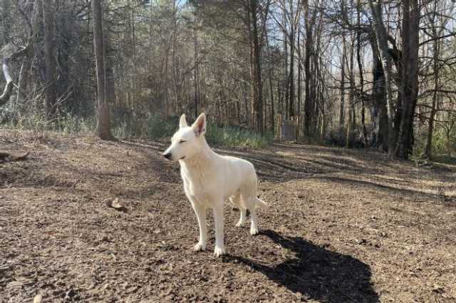 The Sunnyside Sisters Bed and Breakfast / Clarksville VA / Handsome Mojo