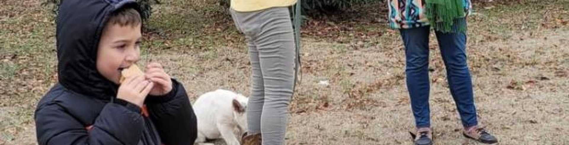 Sunnyside White Swiss Shepherds / Clarksville VA / Jane and fundraising SPCA