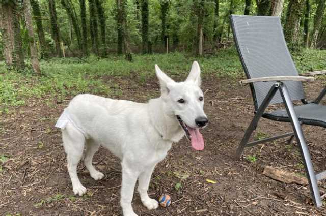The Sunnyside Sisters Bed and Breakfast / Clarksville VA / Big time period for Jessie