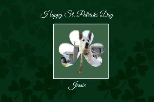 The Sunnyside Sisters Bed and Breakfast / Clarksville VA / Happy St Patrick’s Day