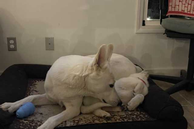 The Sunnyside Sisters Bed and Breakfast / Clarksville VA / Jane loooooovvvvvveeesss Mijne lol