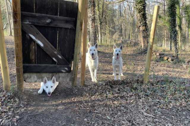The Sunnyside Sisters Bed and Breakfast / Clarksville VA / My search team