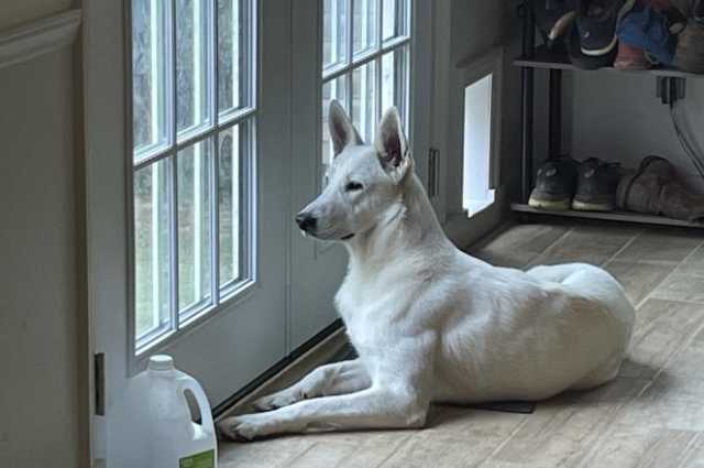 The Sunnyside Sisters Bed and Breakfast / Clarksville VA / Happy FIRST birthday Jessie!!!