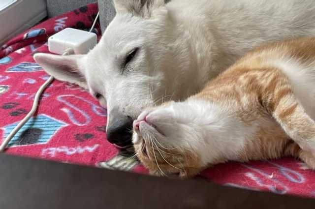 The Sunnyside Sisters Bed and Breakfast / Clarksville VA / BFF June is nowhere to be found