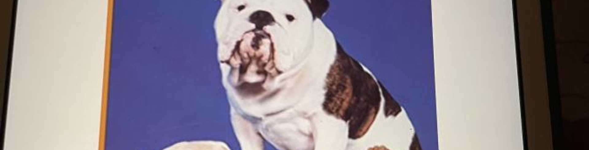 Sunnyside White Swiss Shepherds / Clarksville VA / Raw food diet