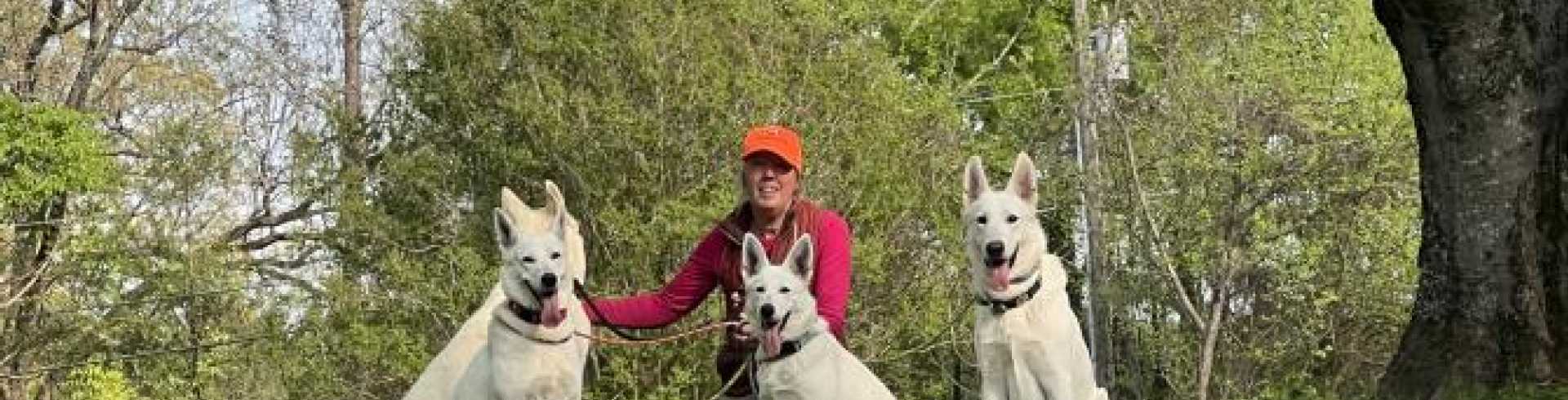 Sunnyside White Swiss Shepherds / Clarksville VA /