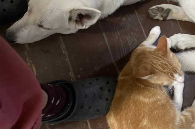 The Sunnyside Sisters Bed and Breakfast / Clarksville VA / Getting lonely