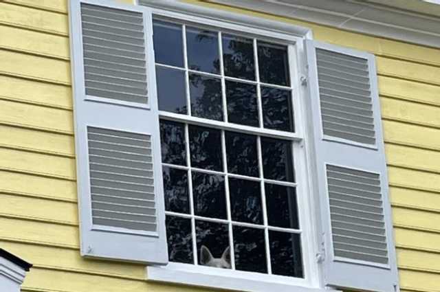 The Sunnyside Sisters Bed and Breakfast / Clarksville VA / Better days ahead