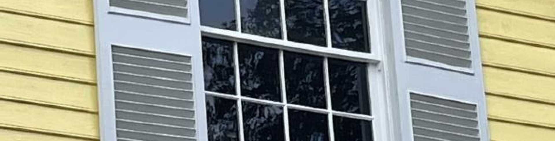 Sunnyside White Swiss Shepherds / Clarksville VA / Better days ahead