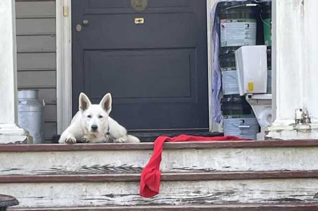 The Sunnyside Sisters Bed and Breakfast / Clarksville VA / Egg money uncovered