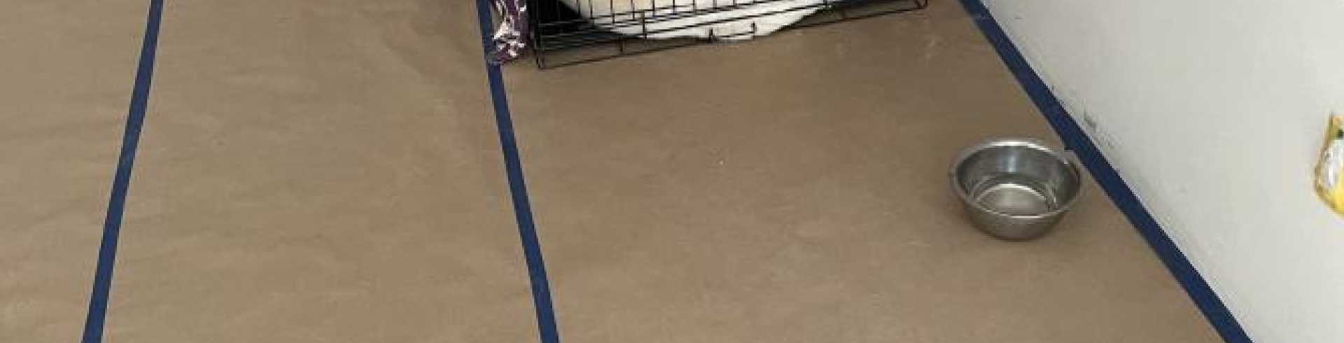 Sunnyside White Swiss Shepherds / Clarksville VA /