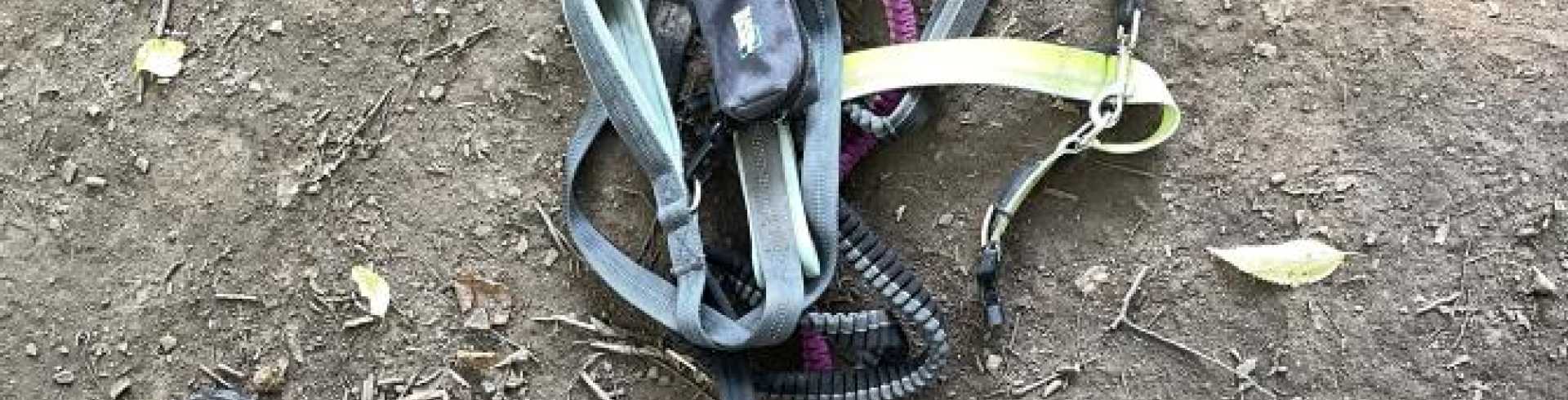 Sunnyside White Swiss Shepherds / Clarksville VA / Come prepared!!!