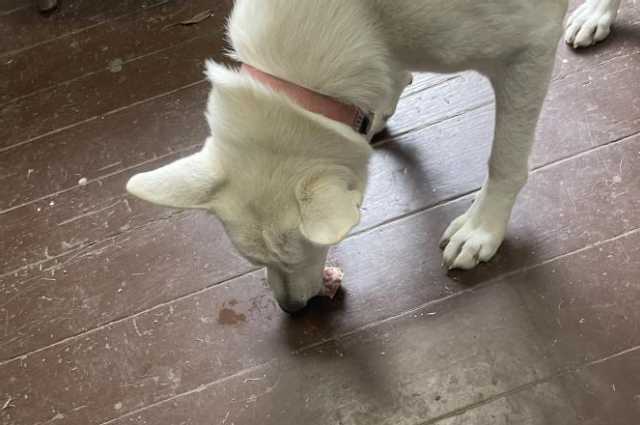 The Sunnyside Sisters Bed and Breakfast / Clarksville VA / Yummie: chicken thigh