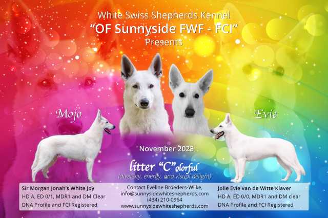 Sunnyside White Swiss Shepherds / Clarksville VA / 