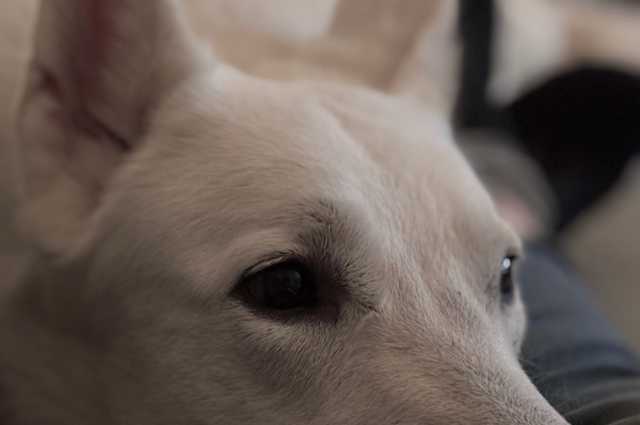 The Sunnyside Sisters Bed and Breakfast / Clarksville VA /