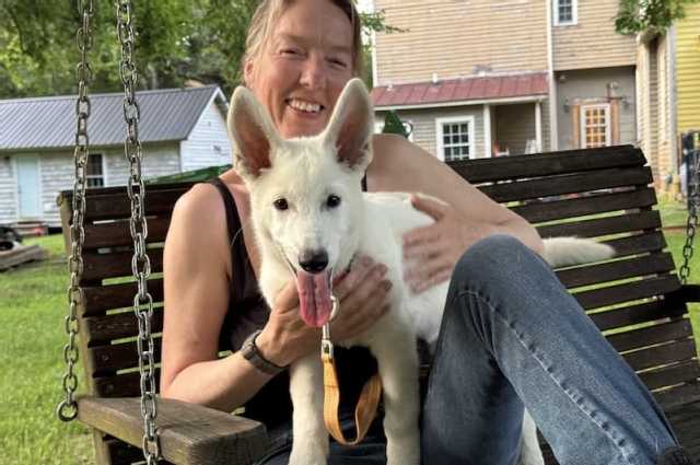 Sunnyside White Swiss Shepherds / Clarksville VA / 