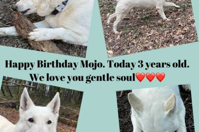 The Sunnyside Sisters Bed and Breakfast / Clarksville VA / Mojo 3 years today!