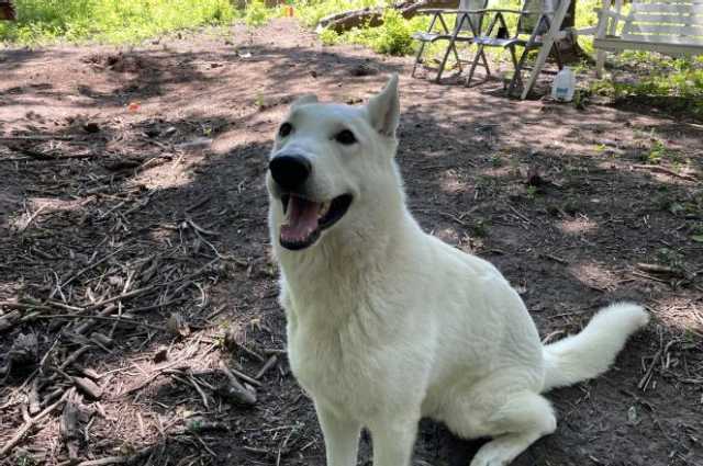 The Sunnyside Sisters Bed and Breakfast / Clarksville VA / Mojo on a date