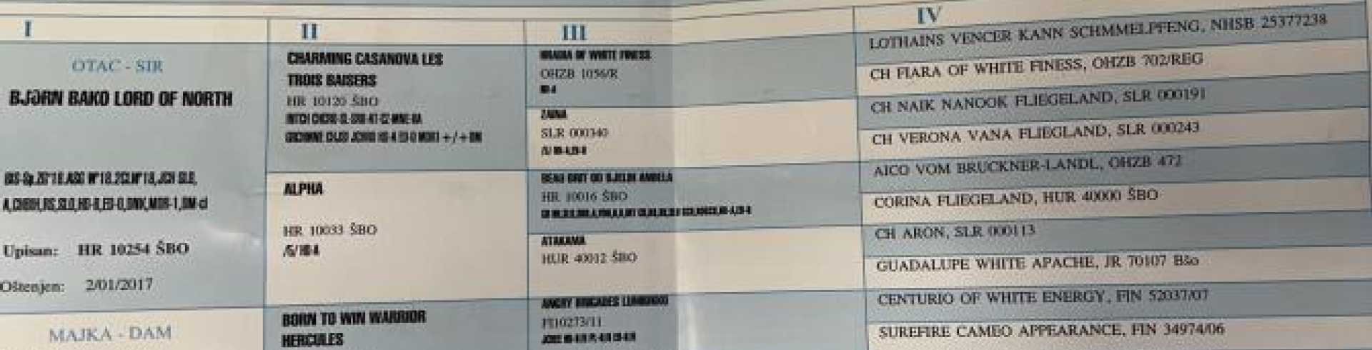 Sunnyside White Swiss Shepherds / Clarksville VA /