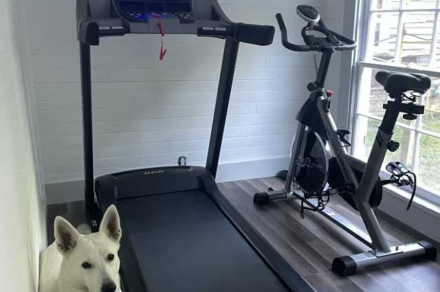 The Sunnyside Sisters Bed and Breakfast / Clarksville VA / Jessie my shadow