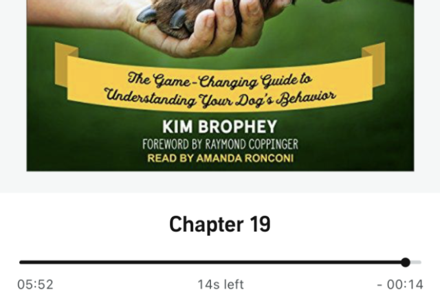 The Sunnyside Sisters Bed and Breakfast / Clarksville VA / LEGS by Kim Bropher