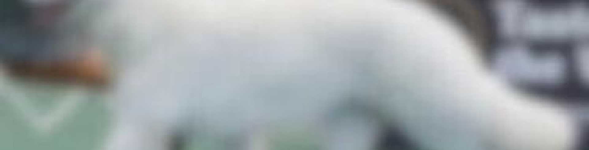 Sunnyside White Swiss Shepherds / Clarksville VA / Are dogs 'born to win'?