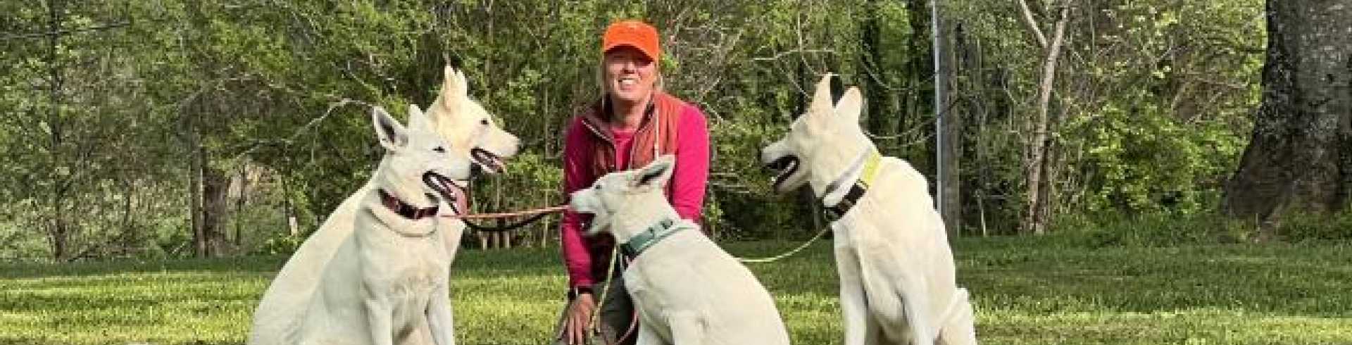 Sunnyside White Swiss Shepherds / Clarksville VA /