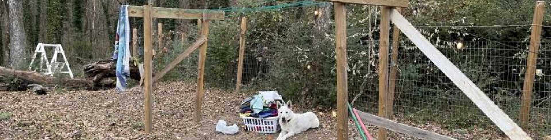 Sunnyside White Swiss Shepherds / Clarksville VA /